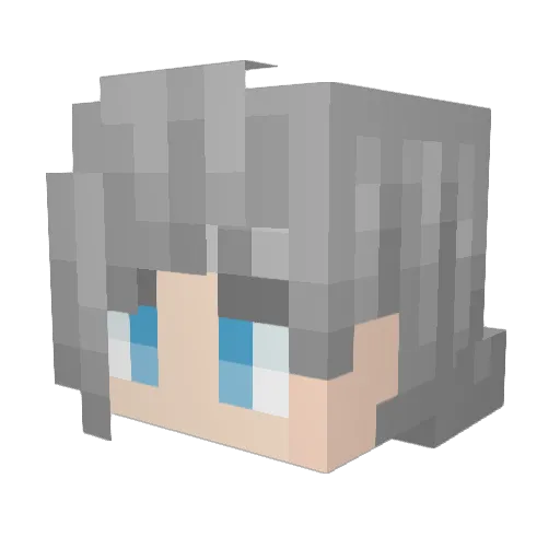Diamond_Country Minecraft avatar head, 3D render