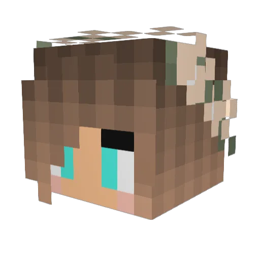 Diamond_Diva13 Minecraft avatar head, 3D render