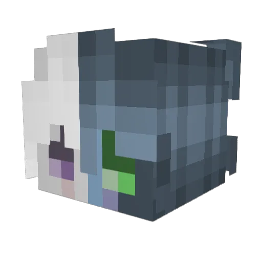 Diamond_Nuggies Minecraft avatar head, 3D render