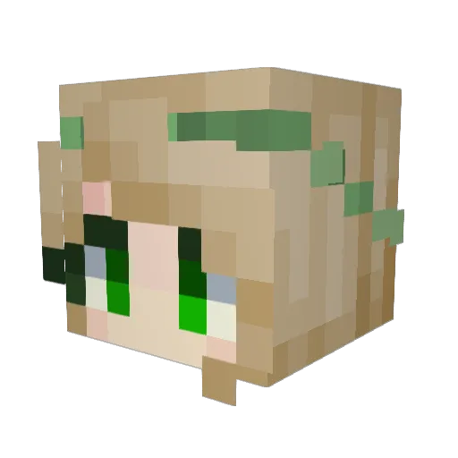 Diamond_Victory Minecraft avatar head, 3D render
