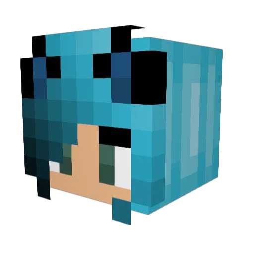 Diamond_Wolfy17 Minecraft avatar head, 3D render
