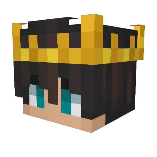 Diamond__96 Minecraft avatar head, 3D render