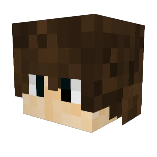 Diamondator1 Minecraft avatar head, 3D render