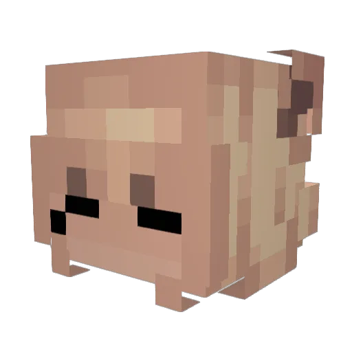 Diamondawg35 Minecraft avatar head, 3D render