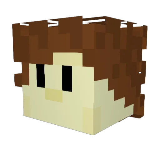 Diamondblock842 Minecraft avatar head, 3D render