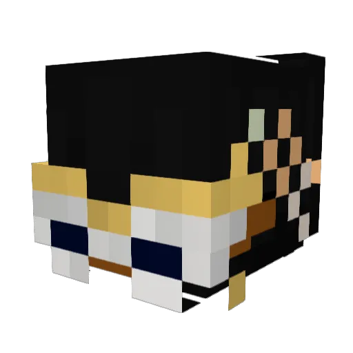 Diamondcat557 Minecraft avatar head, 3D render