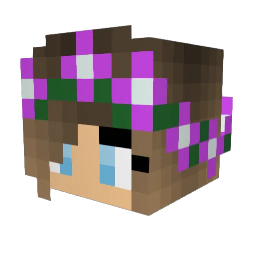 Diamondcraft121 Minecraft avatar head, 3D render