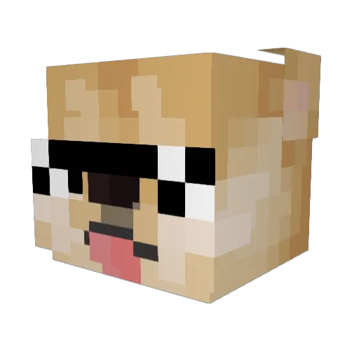 Diamonddog1514 Minecraft avatar head, 3D render