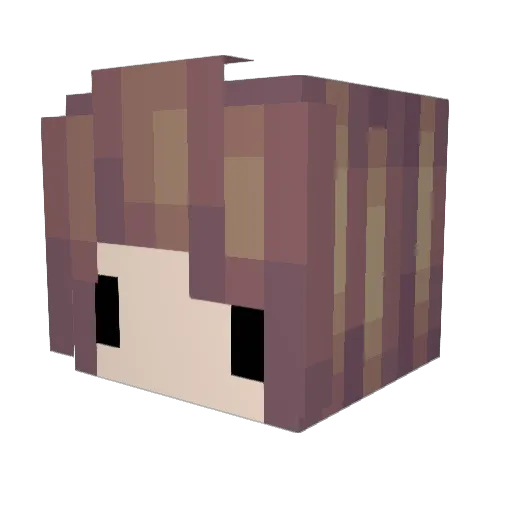 Diamondgamer176 Minecraft avatar head, 3D render