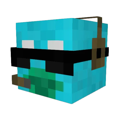 Diamondgoobird Minecraft avatar head, 3D render