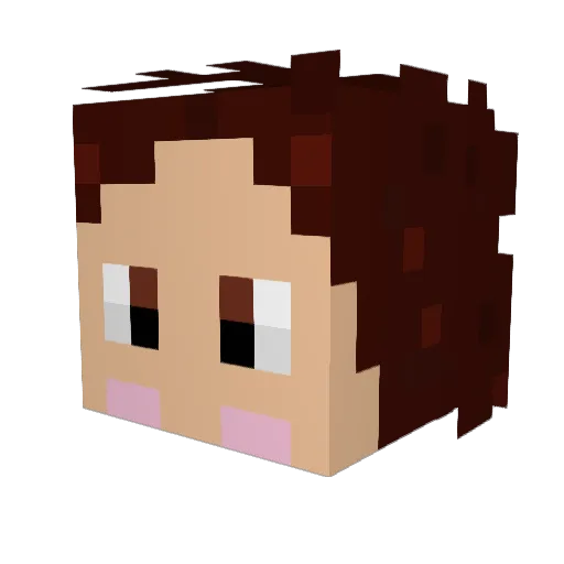 Diamondletsplay Minecraft avatar head, 3D render