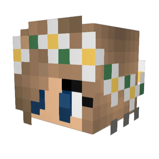Diamondman50 Minecraft avatar head, 3D render