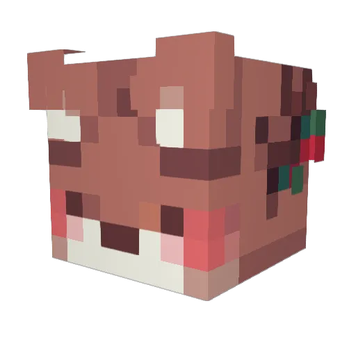Diamondminer303 Minecraft avatar head, 3D render
