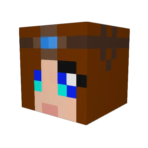DiamondminerGal Minecraft avatar head, 3D render