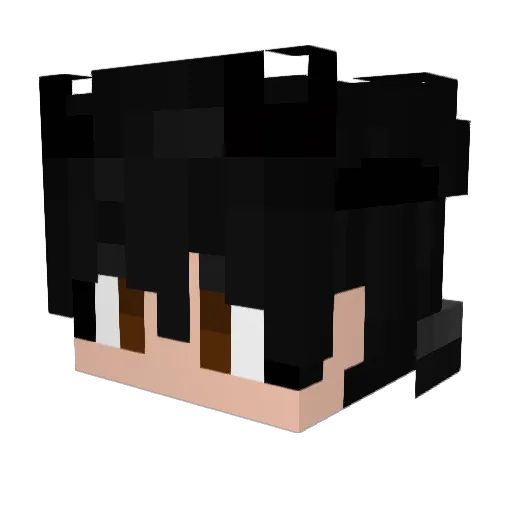 Diamondpro1211 Minecraft avatar head, 3D render