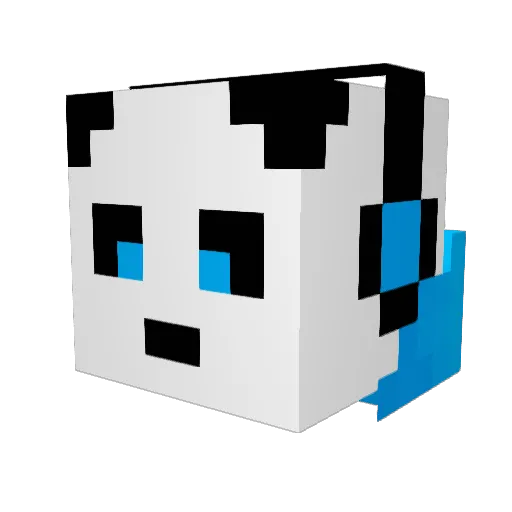 Diamonds2195 Minecraft avatar head, 3D render