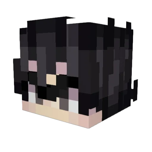 Diamondslayer200 Minecraft avatar head, 3D render