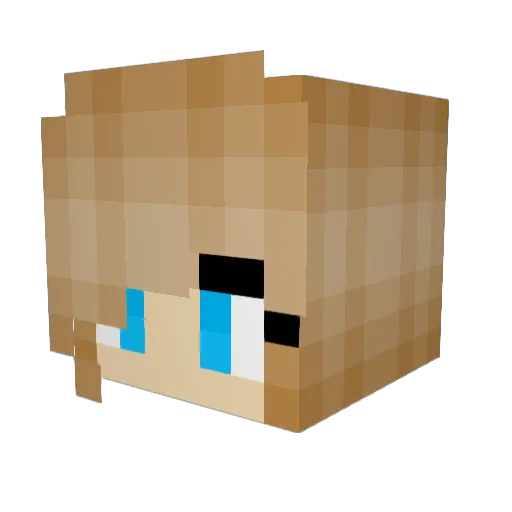 Diamondspier2005 Minecraft avatar head, 3D render