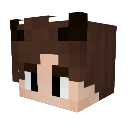 Diamondu_ Minecraft avatar head, 3D render