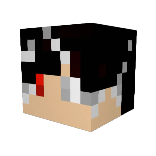 Diamondwolfes15 Minecraft avatar head, 3D render