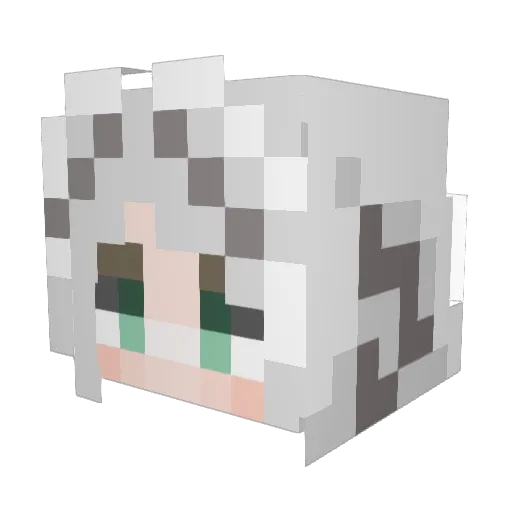 Dian311 Minecraft avatar head, 3D render