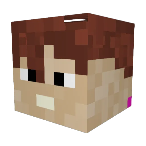 DianCani Minecraft avatar head, 3D render