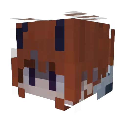 Dian_aa_ Minecraft avatar head, 3D render