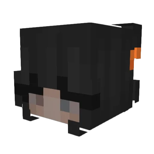 Diana_Shy Minecraft avatar head, 3D render