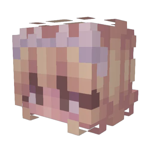 Dianaa_mc Minecraft avatar head, 3D render