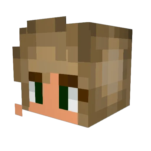 DianamondTX Minecraft avatar head, 3D render