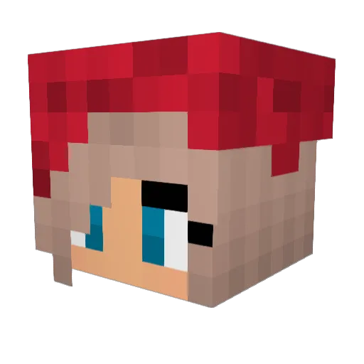 Dianas123 Minecraft avatar head, 3D render