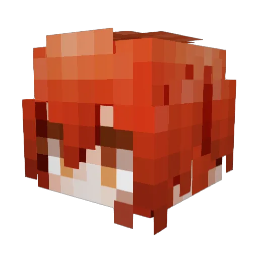 DianeJ777 Minecraft avatar head, 3D render