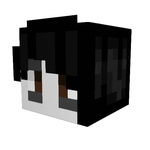 Dianeral Minecraft avatar head, 3D render