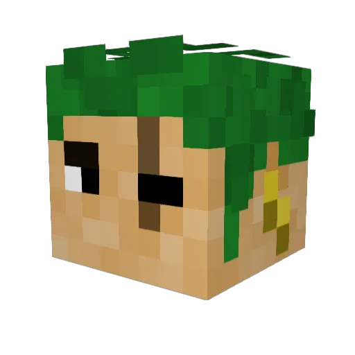 Diann25 Minecraft avatar head, 3D render