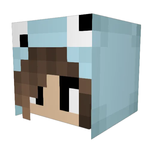 Dianqa Minecraft avatar head, 3D render