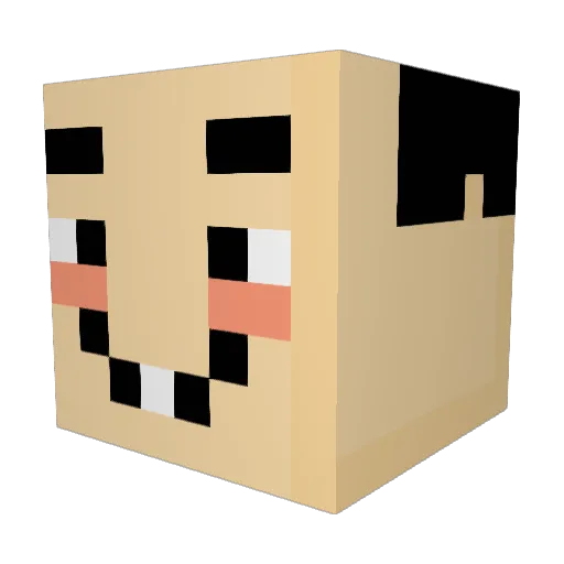 Diaperman420 Minecraft avatar head, 3D render