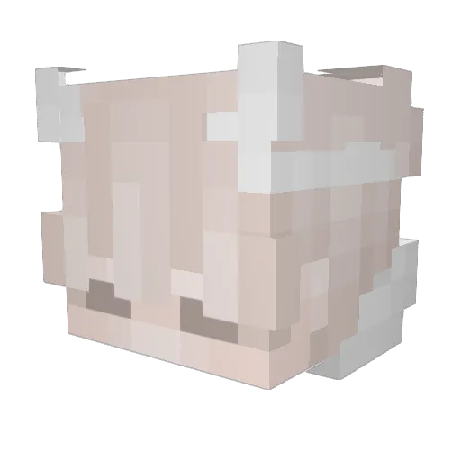 Diarynoob4325 Minecraft avatar head, 3D render