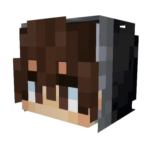 Diasteros Minecraft avatar head, 3D render
