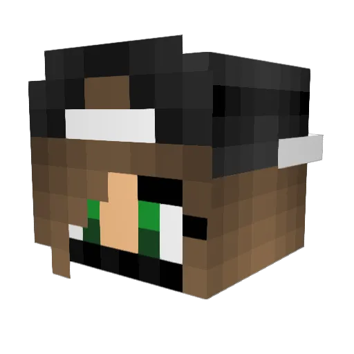 Diaxia888 Minecraft avatar head, 3D render