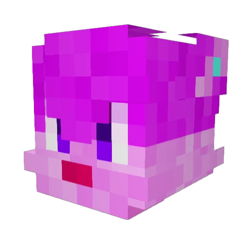 DibPaw Minecraft avatar head, 3D render