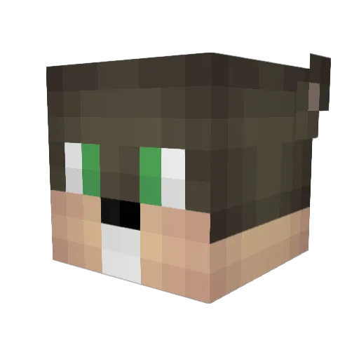 Dibul Minecraft avatar head, 3D render