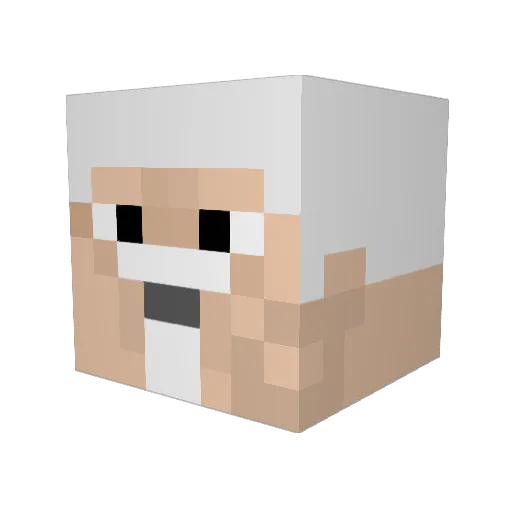 Dica2 Minecraft avatar head, 3D render