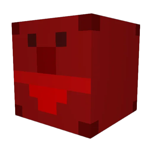 Dicher00 Minecraft avatar head, 3D render