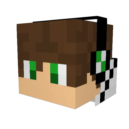 DichosDong Minecraft avatar head, 3D render