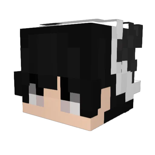 Dicipline Minecraft avatar head, 3D render