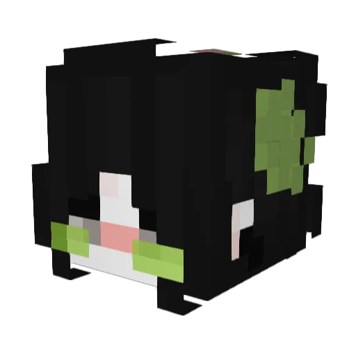 DicleHnm Minecraft avatar head, 3D render