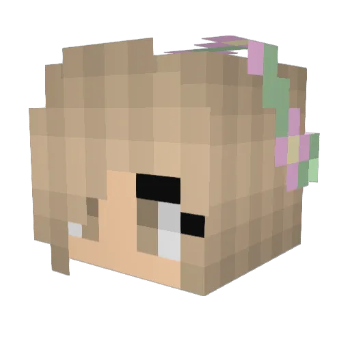 DicteFN Minecraft avatar head, 3D render