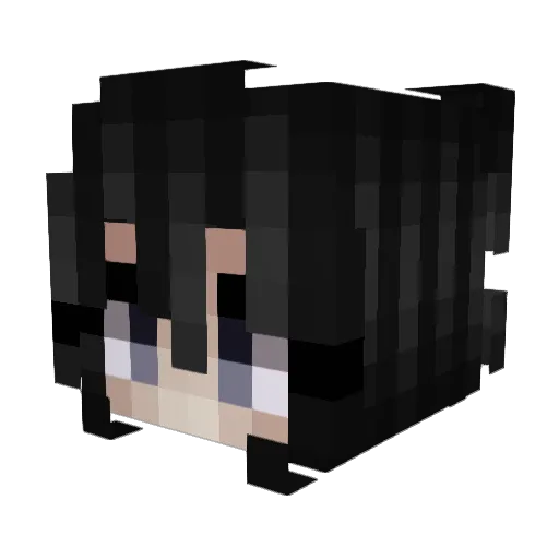 DidItAgain Minecraft avatar head, 3D render