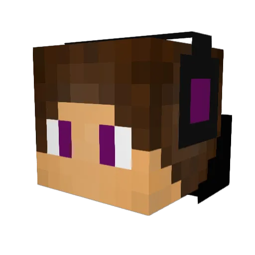 DidYouNodusIHack Minecraft avatar head, 3D render