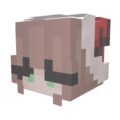 Didaboo123 Minecraft avatar head, 3D render